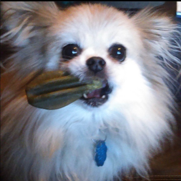 Meet your Posher, S. - Picture 3 of 4